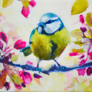 Bright Little Bird by Amanda Schwabe