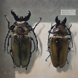 AUTOCRATES vitalisi by Paul Beckingham