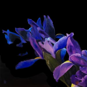Irises II by Paul Beckingham