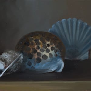 Sea Shells by Paul Beckingham