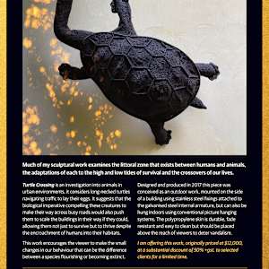 Turtle Crossing by Castledine & Castledine 