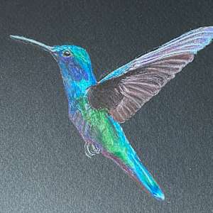 Beauty Found - Humming Bird by Kathie Collinson, Image 1.