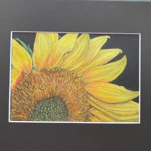 Beauty Found - Sunflower 