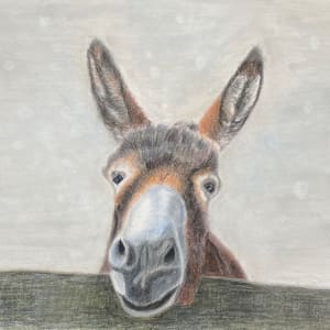 Buttercup by Kathie Collinson 