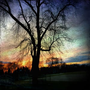 Twilight  Image: The photo the piece comes from, this photo is digitally edited.
