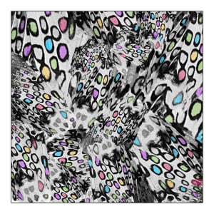 Moth Markings Times 30 with Color Nº1 by Thia Rice