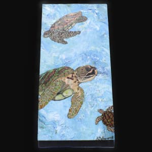 The Green Sea Turtle by Heather Medrano 