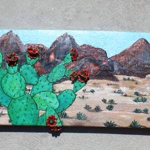 Desert Days by Heather Medrano 