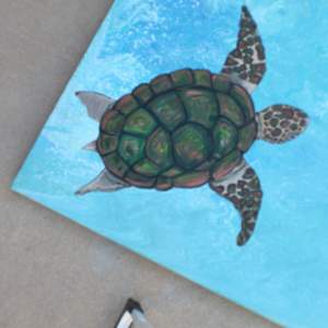 Green Turtle Bliss by Heather Medrano 