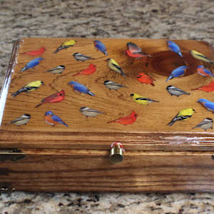 Be of Different feathers by Heather Medrano 
