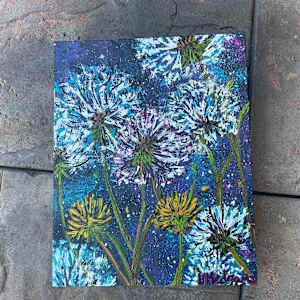 Night Skies Wishes by Heather Medrano