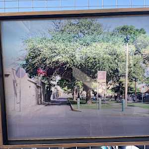 El Segundo Barrio by Heather Medrano