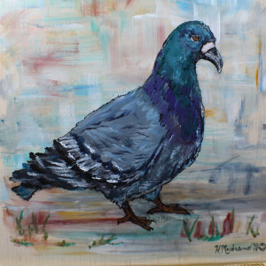 The Right Pigeon by Heather Medrano 