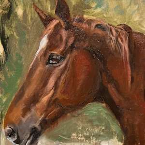 Portrait of a Horse by Ivana Ignjacevic, Image 1.