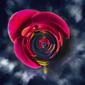 Contemplation by Y. Hope Osborn