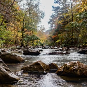 Haw Creek Up and Autumn by Y. Hope Osborn