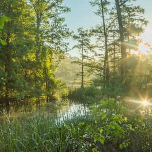 Charmed by Y. Hope Osborn