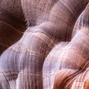 Sunbathing Ladies by Y. Hope Osborn