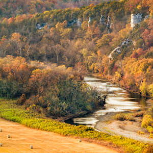 Nordic Lord by Y. Hope Osborn