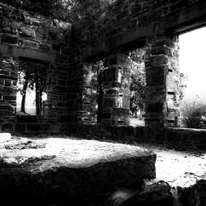 Point of View by Y. Hope Osborn