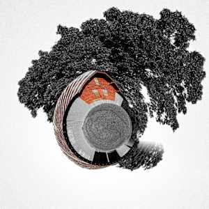 Red by Y. Hope Osborn