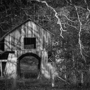 Reminiscence 2 by Y. Hope Osborn, Image 1.