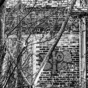 Restlessness of Within by Y. Hope Osborn
