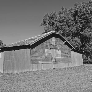 Rustic by Y. Hope Osborn
