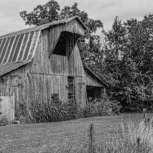 Sage by Y. Hope Osborn