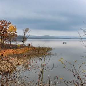 Serenity by Y. Hope Osborn