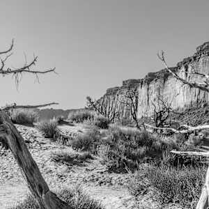 Spirit Dance by Y. Hope Osborn