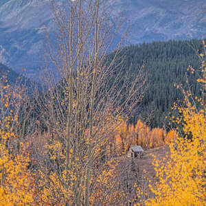 Time Share by Y. Hope Osborn