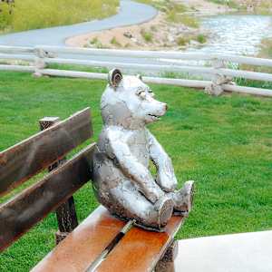 Brian the Bear by Terrence Martin  Image: Photograph by Ryann S. Ford. Licensed by Creative Commons (CC  BY-SA). 