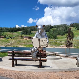 Brian the Bear by Terrence Martin  Image: 535 Vasels Road, Brian Head, UT (near Bristlecone Pond).

Photograph made avaliable by Brian Head Town Manager, Bret Howser. Licensed by Creative Commons (CC BY-SA).