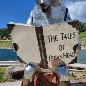 Brian the Bear by Terrence Martin  Image: 535 Vasels Road, Brian Head, UT (near Bristlecone Pond).

Photograph made avaliable by Brian Head Town Manager, Bret Howser. Licensed by Creative Commons (CC BY-SA).