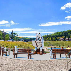 Brian the Bear by Terrence Martin  Image: 535 Vasels Road, Brian Head, UT (near Bristlecone Pond).

Photograph made avaliable by Brian Head Town Manager, Bret Howser. Licensed by Creative Commons (CC BY-SA).
