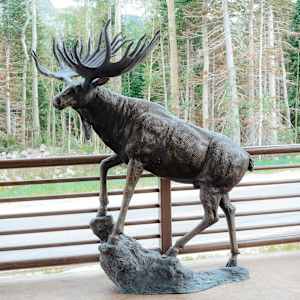 Grand Lodge Moose by Unknown  Image: About 314 Hunter Ridge Road

Photograph by Ryann S. Ford. Licensed by Creative Commons (CC  BY-SA). 