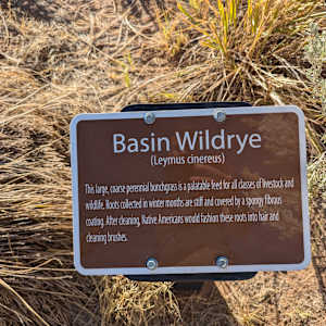 Old Iron Town  Image: Photograph by Jacob B. Arnell. Licensed by Creative Commons (CC BY-SA).