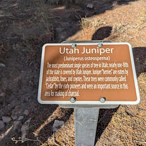 Old Iron Town  Image: Photograph by Jacob B. Arnell. Licensed by Creative Commons (CC BY-SA).