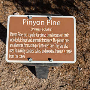 Old Iron Town  Image: Photograph by Jacob B. Arnell. Licensed by Creative Commons (CC BY-SA).