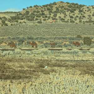 Spanish Trail National Historic Trail (Sculptures & Monuments)  Image: Photograph by Jacob B. Arnell. Licensed by Creative Commons (CC BY-SA). Just Northeast of Iron Springs RV Resort, Iron Springs Road.