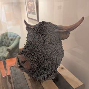 Highland Cow by Wes Holmes  Image: Photograph by Jacob B. Arnell. Licensed by Creative Commons (CC BY-SA).