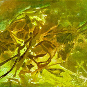 look up by Nancy Broadbent, Image 1.