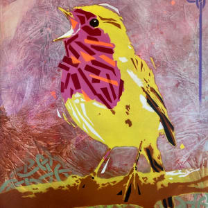 Irish Robin by Antoon Knaap