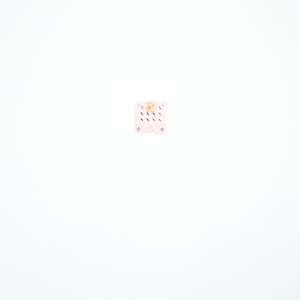 Untitled (Basket) by Damien Davis 