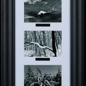 Winter's Playful Imagination by Betsy Anderson