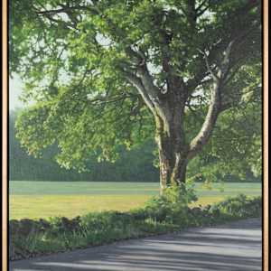 Big Tree in Scotland by Eric Cornett