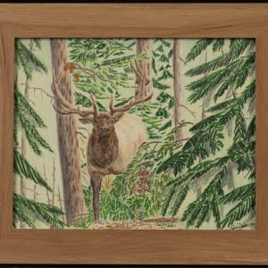 Elk by Jared Dittbenner