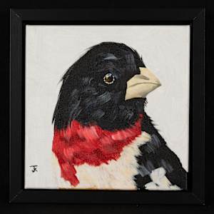 Scarlet the Rose Breasted Grosbeak by Teresa Joens-Kostick