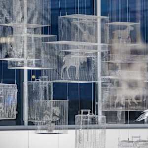 The Dreams We Carry by Kipp Kobayashi, Image 13.